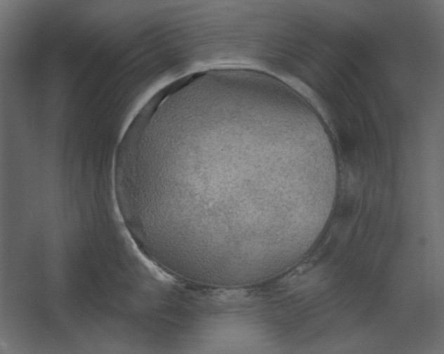 X0000067471006200604211602