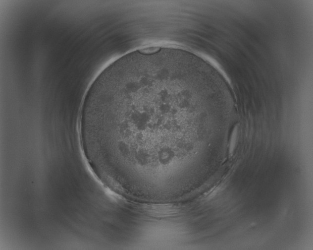 X0000067471007200604211602