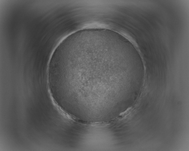 X0000067471008200604211602