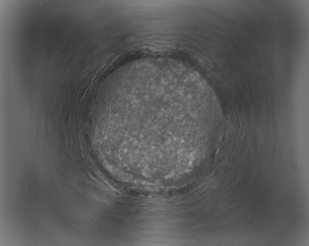 X0000067471009200604211601