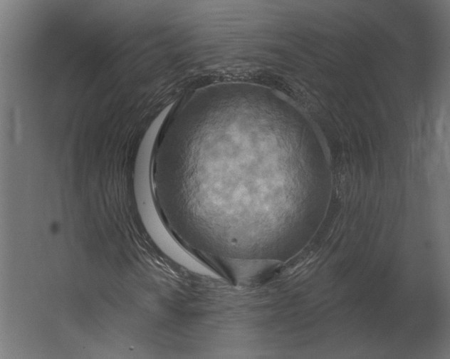 X0000067471010200604211601