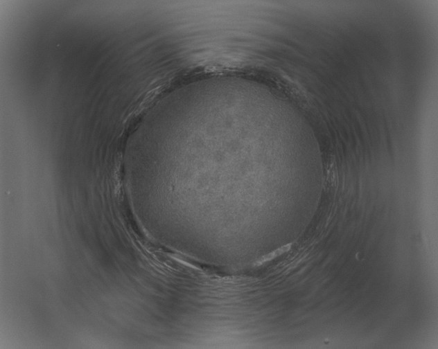 X0000067471012200604211601