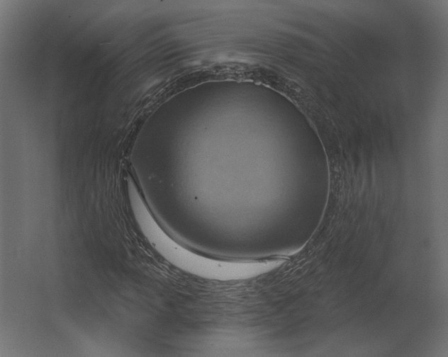 X0000067471013200604211601