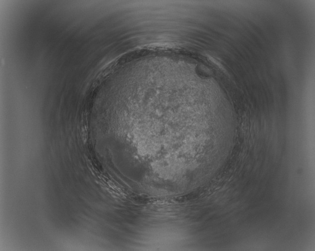 X0000067471015200604211601