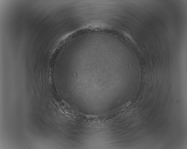 X0000067471016200604211601