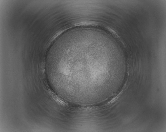 X0000067471017200604211601