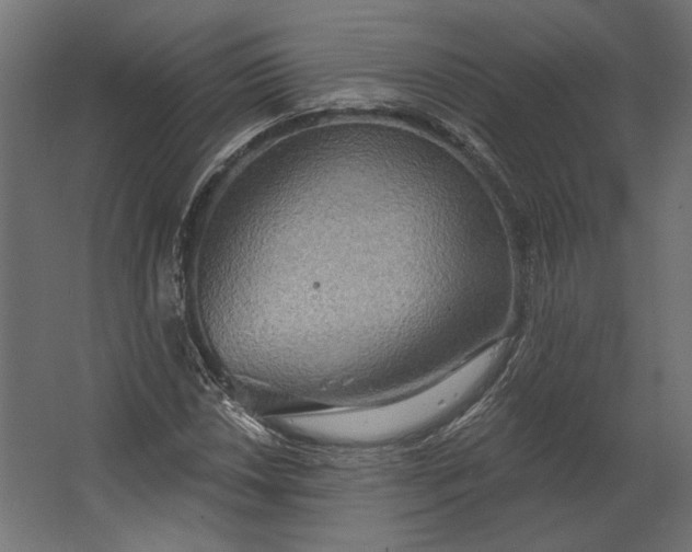 X0000067471018200604211601