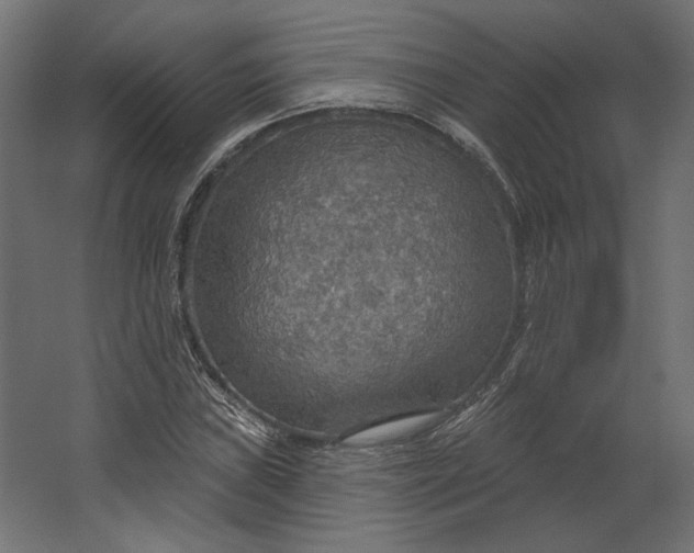 X0000067471019200604211601