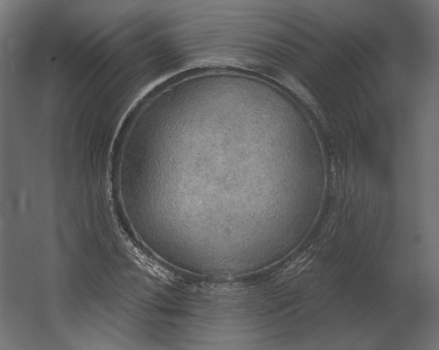 X0000067471020200604211601