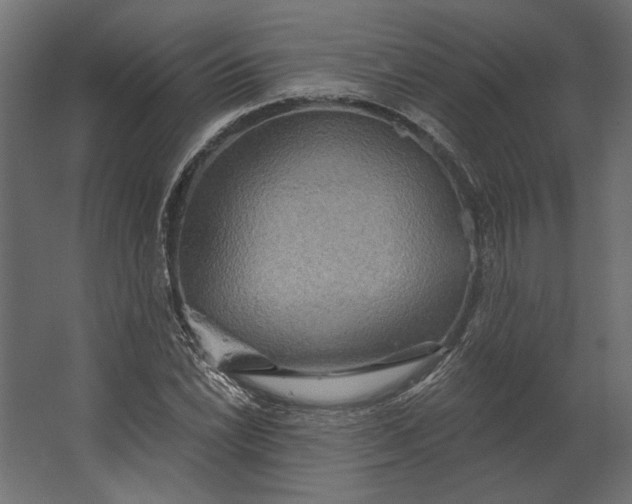 X0000067471022200604211601