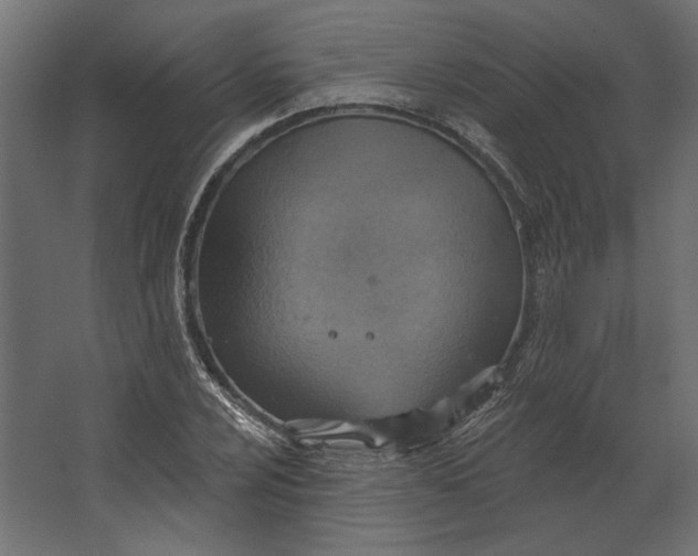 X0000067471024200604211601