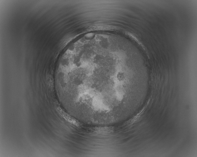 X0000067471025200604211601