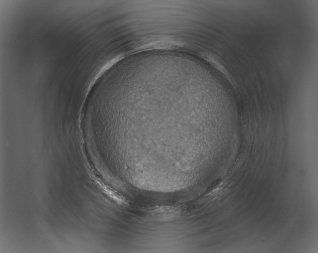 X0000067471026200604211601