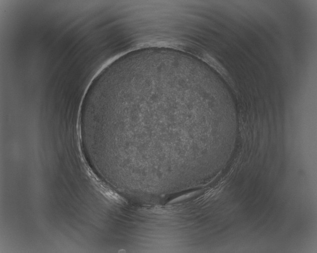 X0000067471028200604211601