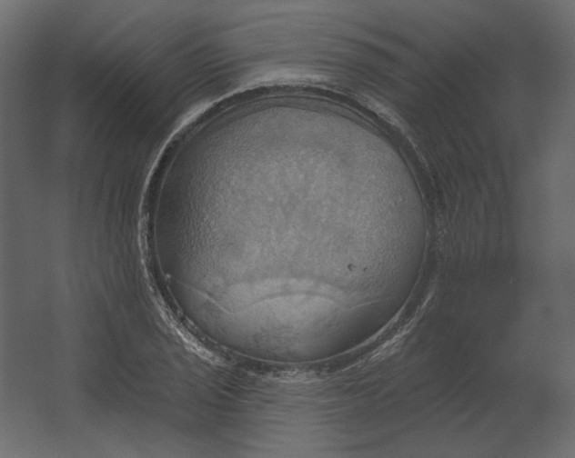 X0000067471029200604211601