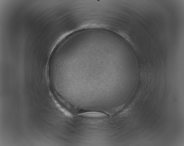 X0000067471030200604211601