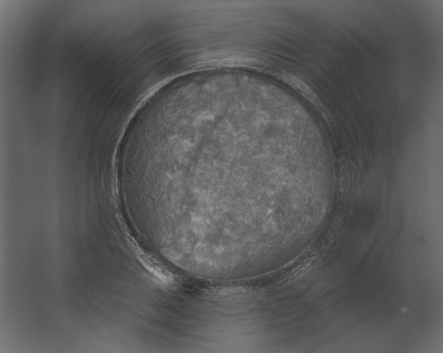 X0000067471031200604211601