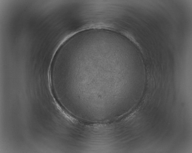 X0000067471032200604211601