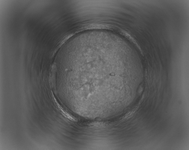 X0000067471033200604211601