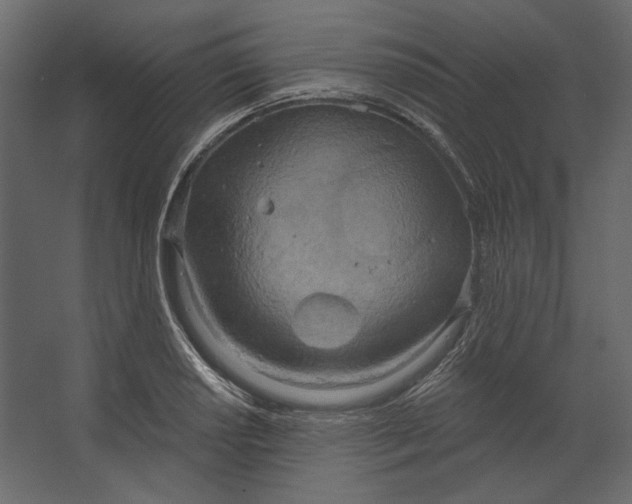 X0000067471034200604211601