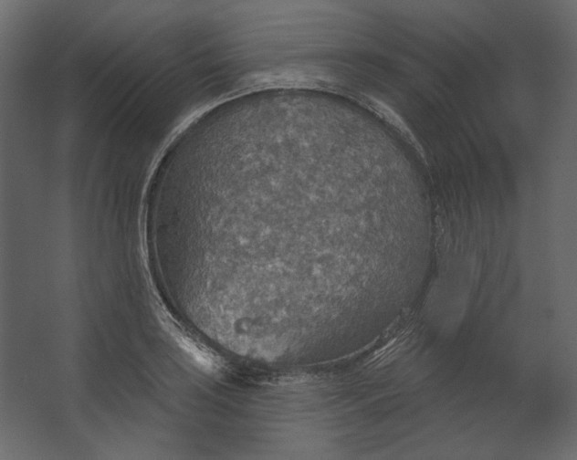 X0000067471035200604211601