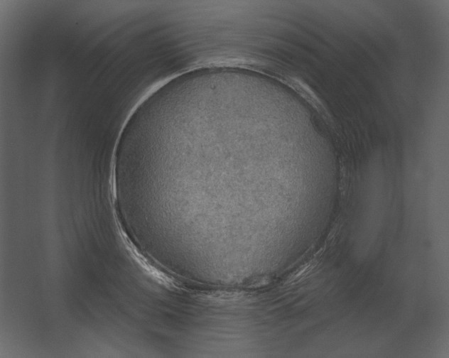 X0000067471036200604211601