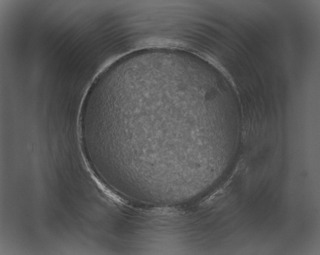 X0000067471037200604211602