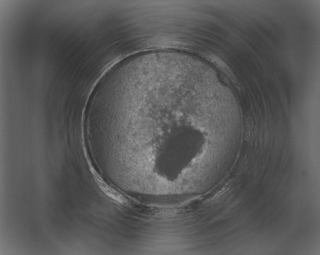 X0000067471039200604211602