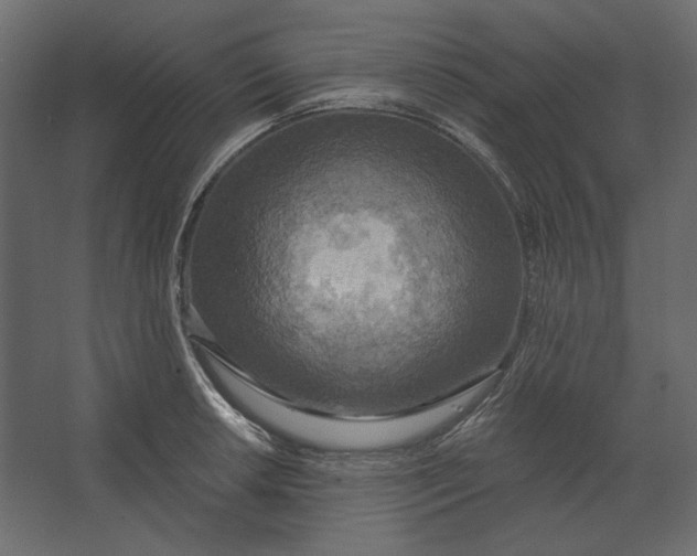 X0000067471042200604211602