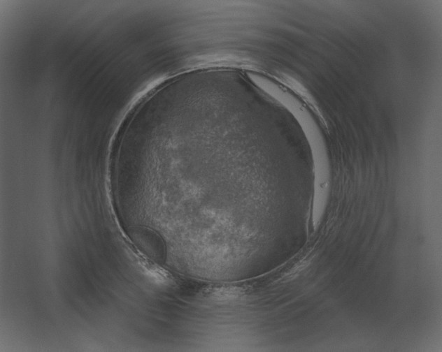 X0000067471043200604211602