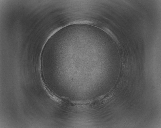 X0000067471044200604211602