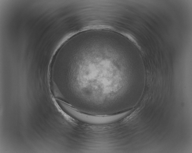 X0000067471046200604211602