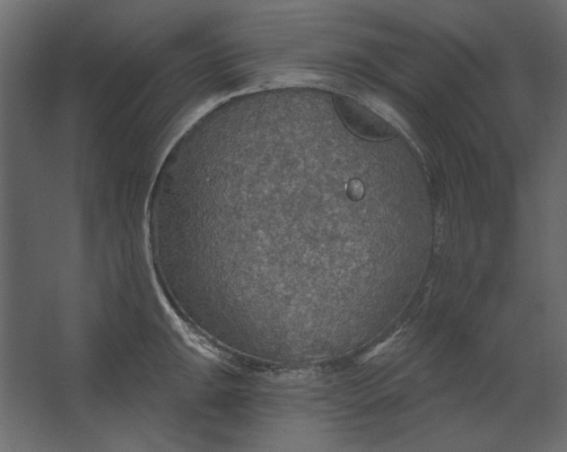 X0000067471047200604211602