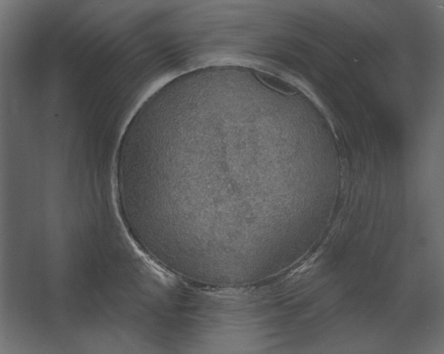 X0000067471048200604211602