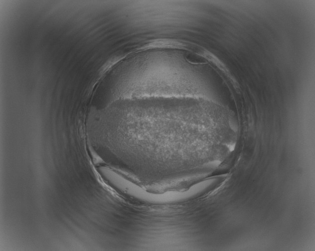 X0000067471049200604211602