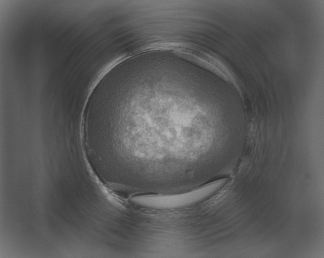 X0000067471050200604211602