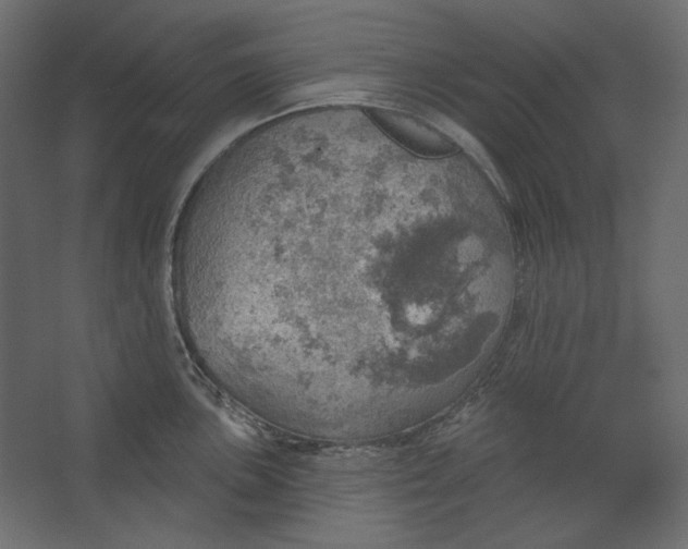 X0000067471051200604211602