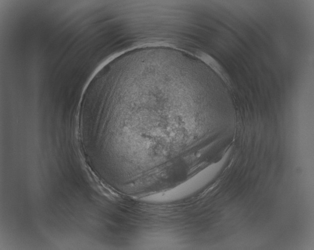 X0000067471052200604211602