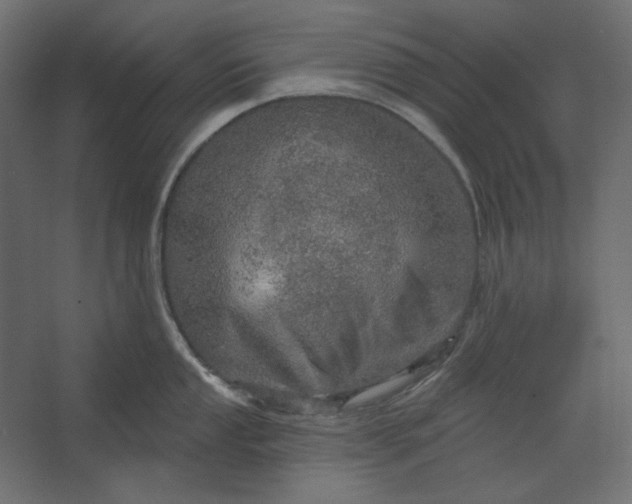 X0000067471053200604211602