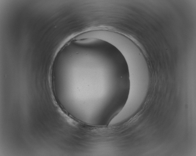 X0000067471054200604211602