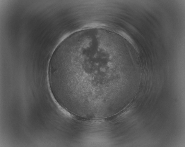 X0000067471055200604211602