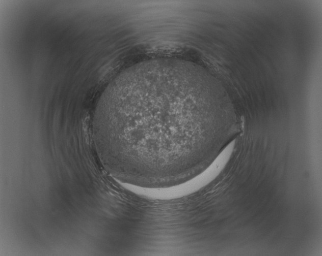 X0000067471059200604211601