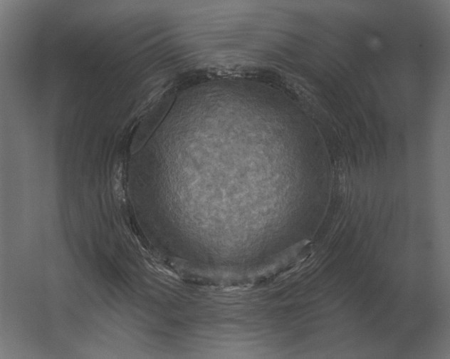 X0000067471060200604211601