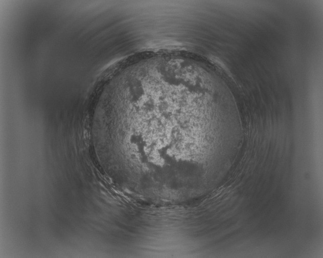 X0000067471063200604211601