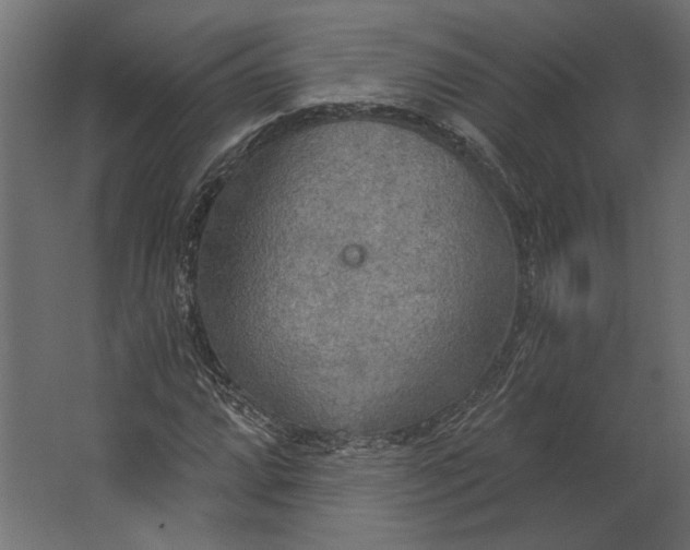 X0000067471064200604211601