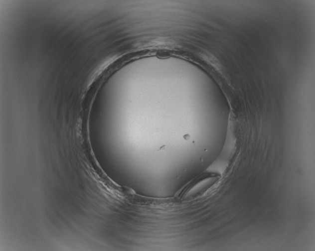 X0000067471066200604211601