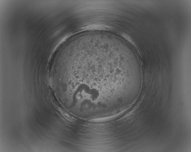 X0000067471067200604211601