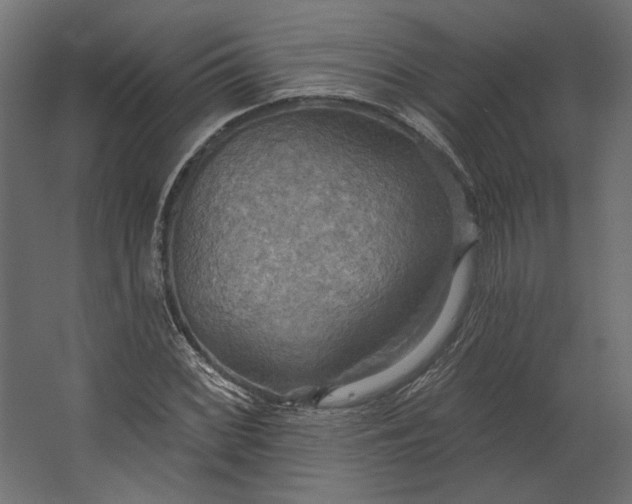 X0000067471068200604211601