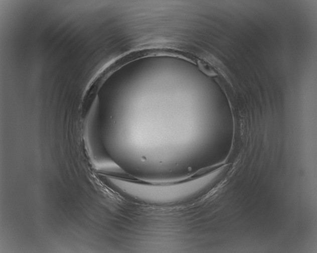 X0000067471069200604211601