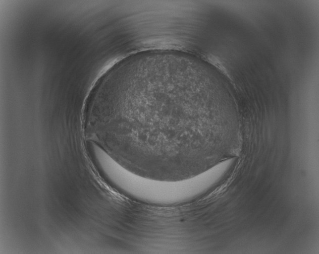 X0000067471071200604211601